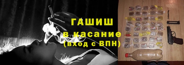 шишки Кодинск