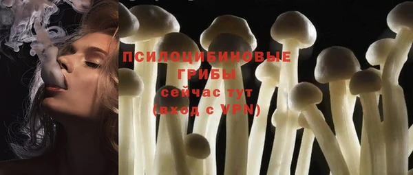 2c-b Козловка