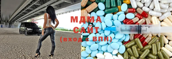 шишки Кодинск