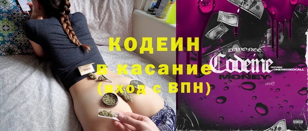крисы Краснослободск