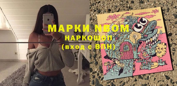 крисы Краснослободск