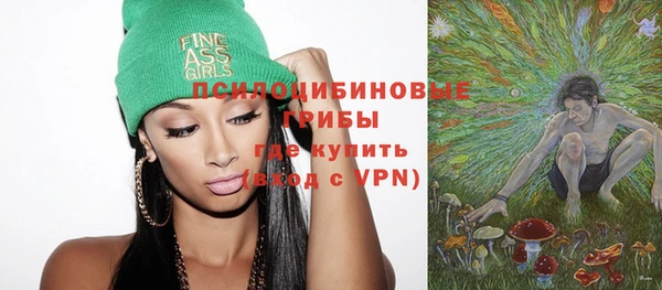 крисы Краснослободск