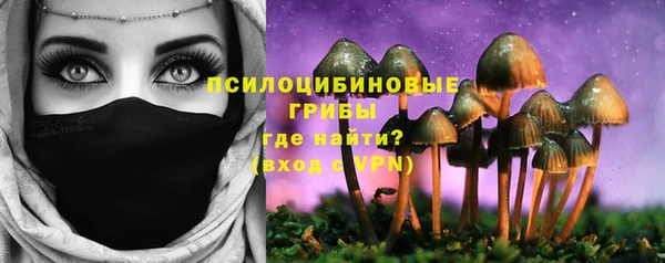 крисы Краснослободск