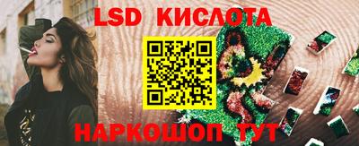 амф Донской