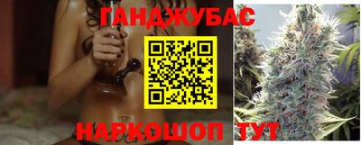 амф Донской