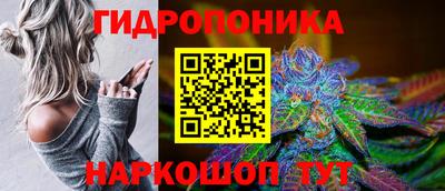 амф Донской