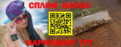 прущие грибы Дубна