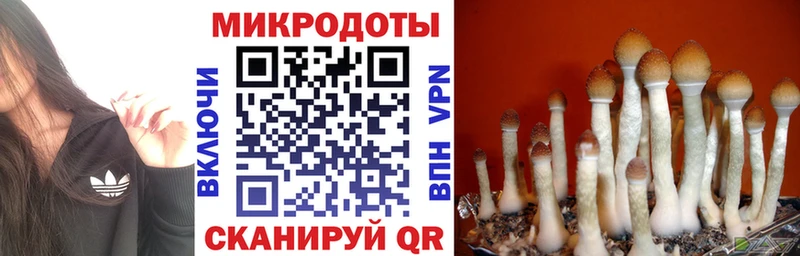 Псилоцибиновые грибы мухоморы Михайловка