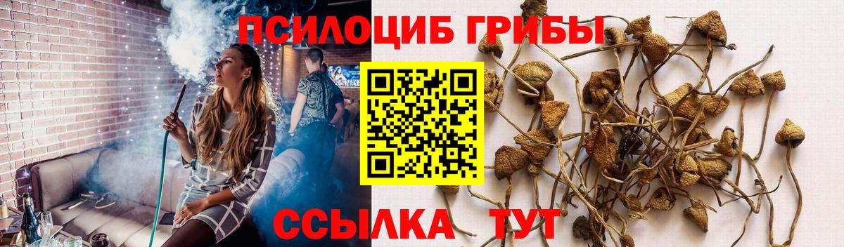 Псилоцибиновые грибы мицелий  Вход с VPN  Псилоцибиновые грибы Magic Shrooms  Михайловка 
